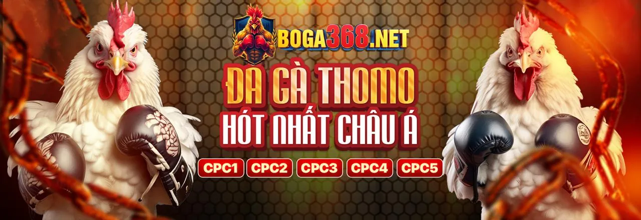 Đá gà trực tuyến tại casinomcw 678